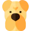 Shar pei biểu tượng 64x64