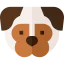 Pug biểu tượng 64x64