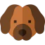 Water dog biểu tượng 64x64