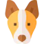 Andalusian hound biểu tượng 64x64