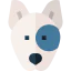 Bull terrier biểu tượng 64x64