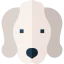 Bedlington terrier biểu tượng 64x64