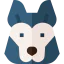 Siberian husky biểu tượng 64x64