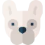 French bulldog biểu tượng 64x64