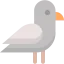 Pigeon icon 64x64