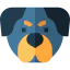 Rottweiler biểu tượng 64x64