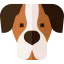 Saint bernard biểu tượng 64x64