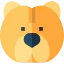 Chow chow biểu tượng 64x64