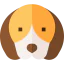 Beagle biểu tượng 64x64