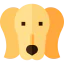 Saluki biểu tượng 64x64