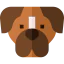 Boxer biểu tượng 64x64