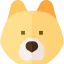 Shiba inu biểu tượng 64x64