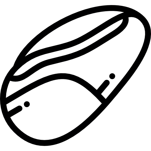 Racket Symbol