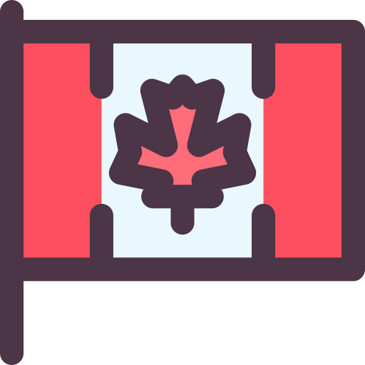 Flag icon