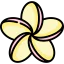Plumeria icon 64x64