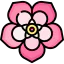 Sabi icon 64x64