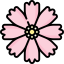 Pink cosmos icon 64x64