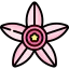 Tapioca flower icon 64x64