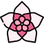 Hoya icon 64x64