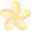 Plumeria ícono 64x64