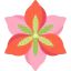 Amaryllis ícono 64x64