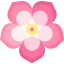 Sabi ícono 64x64