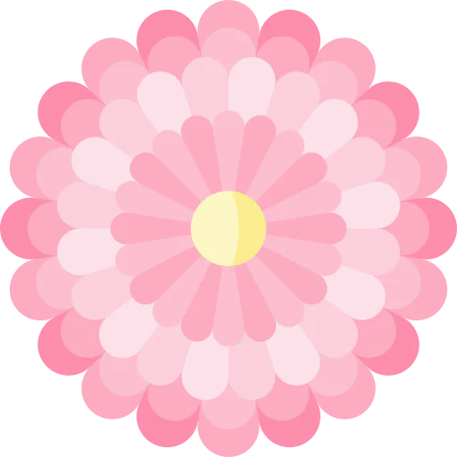 Chysanthemum アイコン