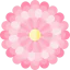 Chysanthemum ícono 64x64