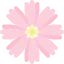 Pink cosmos ícono 64x64