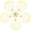 Hibiscus ícono 64x64