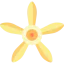 Vanilla ícono 64x64