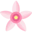 Tapioca flower ícono 64x64