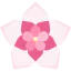 Hoya ícono 64x64