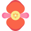 Begonia ícono 64x64