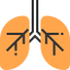 Lungs 图标 64x64