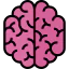 Brain icon 64x64