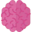 Brain icon 64x64