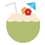 Coconut drink 图标 64x64