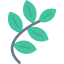 Leaves icon 64x64