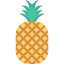 Pineapple icon 64x64