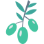 Olives Symbol 64x64