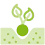 Grow plant icon 64x64