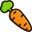 Carrot icon 64x64