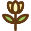 Tulip icon 64x64