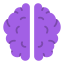 Brain іконка 64x64