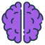 Brain іконка 64x64