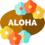 Hawaii Ikona 64x64