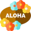 Hawaii icon 64x64