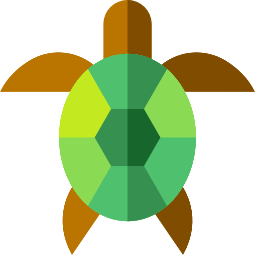 Turtle icon