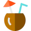 Coconut icon 64x64